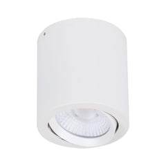 Domus Lighting LED Downlights Neo-SM Tiltable Surface Mounted Led Downlight Lights-For-You