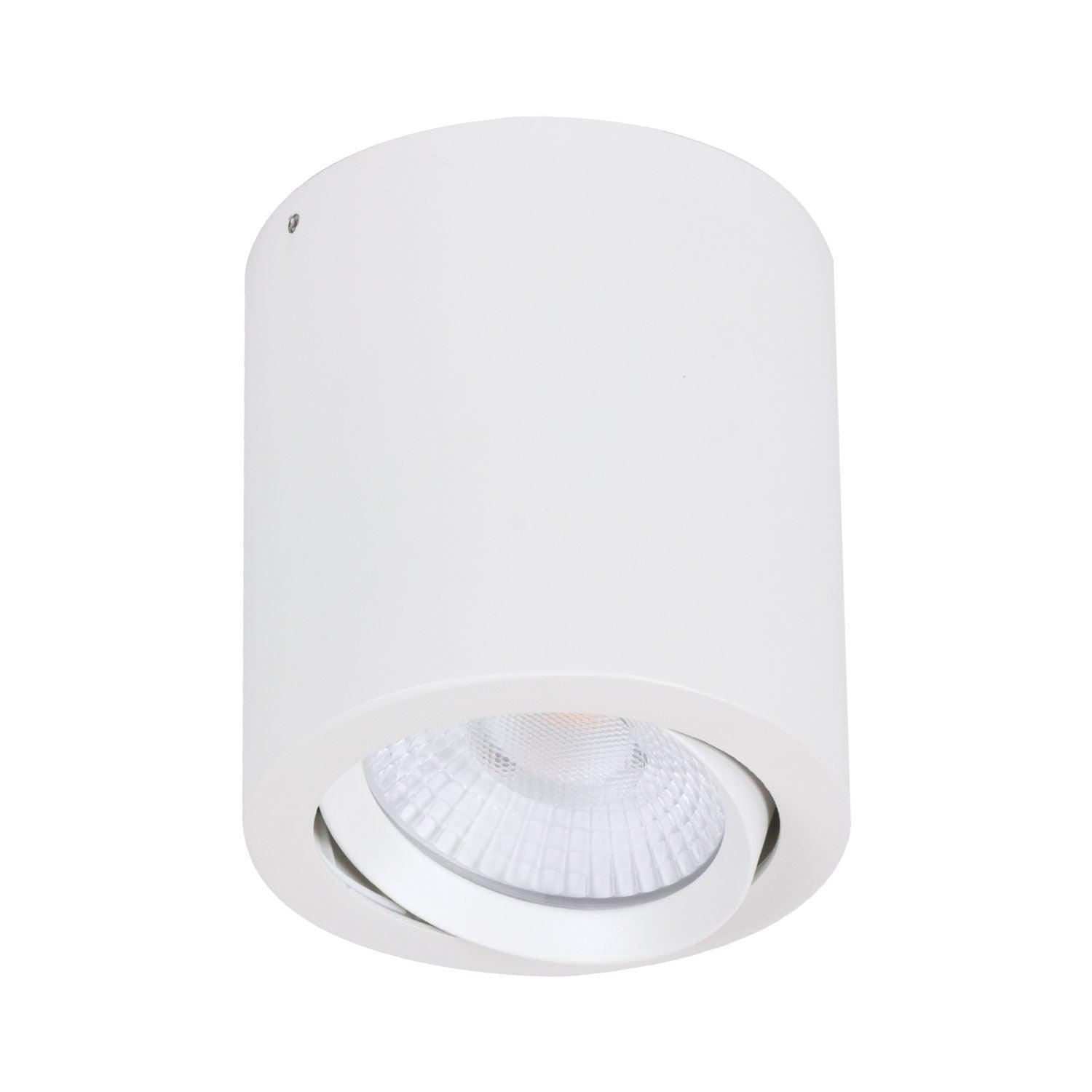 Domus Lighting LED Downlights WHITE / 10W Neo-SM Tiltable Surface Mounted Led Downlight Lights-For-You 21298