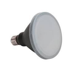 Domus Lighting LED Globes 3000K Domus KEY-PAR30 LED Frosted PAR30 Globe Lights-For-You 65036