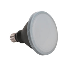 Domus Lighting LED Globes Domus KEY-PAR30 LED Frosted PAR30 Globe Lights-For-You 65038 9330772650389