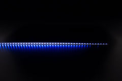 Domus Lighting LED Strips DOMUS PLEX-19.2 RGBWW IP20 STRIP Lights-For-You 20327 9330772203271