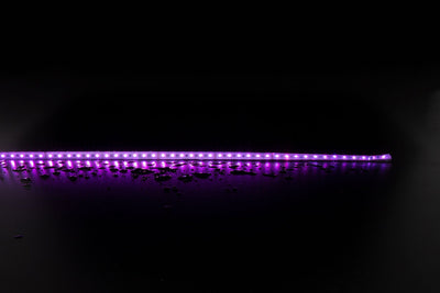 Domus Lighting LED Strips DOMUS PLEX-19.2 STRIP LIGHT RGBWW IP66 Lights-For-You 20344 9330772203448