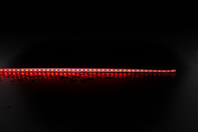 Domus Lighting LED Strips DOMUS PLEX-19.2 STRIP LIGHT RGBWW IP66 Lights-For-You 20344 9330772203448