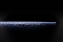 Domus Lighting LED Strips RGBWW DOMUS PLEX-19.2 STRIP LIGHT RGBWW IP66 Lights-For-You 20344