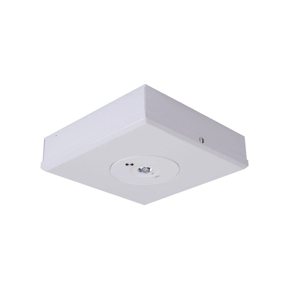 Domus Lighting Lighting Domus EVAC-D63-SM - 3.5W LED D63 Non-Maintained Surface Mounted Emergency Light Lights-For-You 66044