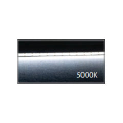 Domus Lighting Lighting Domus PLEX-COB-5-50M - 50M Roll Pack 5W LED Per Metre 640LED True Dotless Striplight IP54 24V - DRIVER REQUIRED Lights-For-You 24030