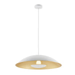 Daxia Pendant Light 1Lt