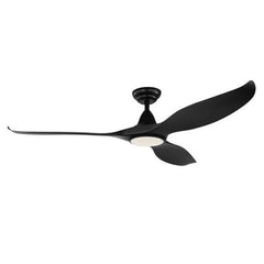 Eglo Lighting Ceiling Fans 60" Noosa DC Ceiling Fan w/ Light Lights-For-You 202972 9008606185184