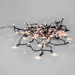 Eglo Lighting Lighting Crispy Ice White LED Fairy Lights X80 5600mm Black Lights-For-You 410841N