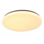 Eglo Lighting Lighting Diego LED Oyster Light 36w in Opal White Lights-For-You 205667
