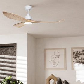 Eglo Lighting Lighting Fan Acc. - Currumbin LED Light Kit CCT 20w White, Black Lights-For-You