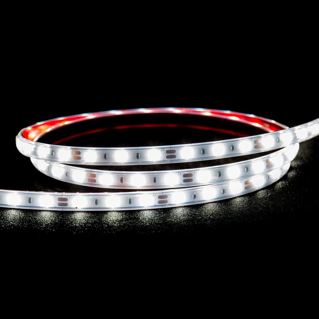 Havit Lighting LED Strips 4.8w 12v DC IP54 LED Strip 5500k 5m Roll - HV9716-IP54-60-5K-5M Lights-For-You HV9716-IP54-60-5K-5M LED246NWH10