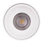 Havit Lighting Lighting Nella Surface Mounted LED Downlight 12w Black, White CCT HV5842S-BLK, HV5842S-WHT Havit Lighting Lights-For-You