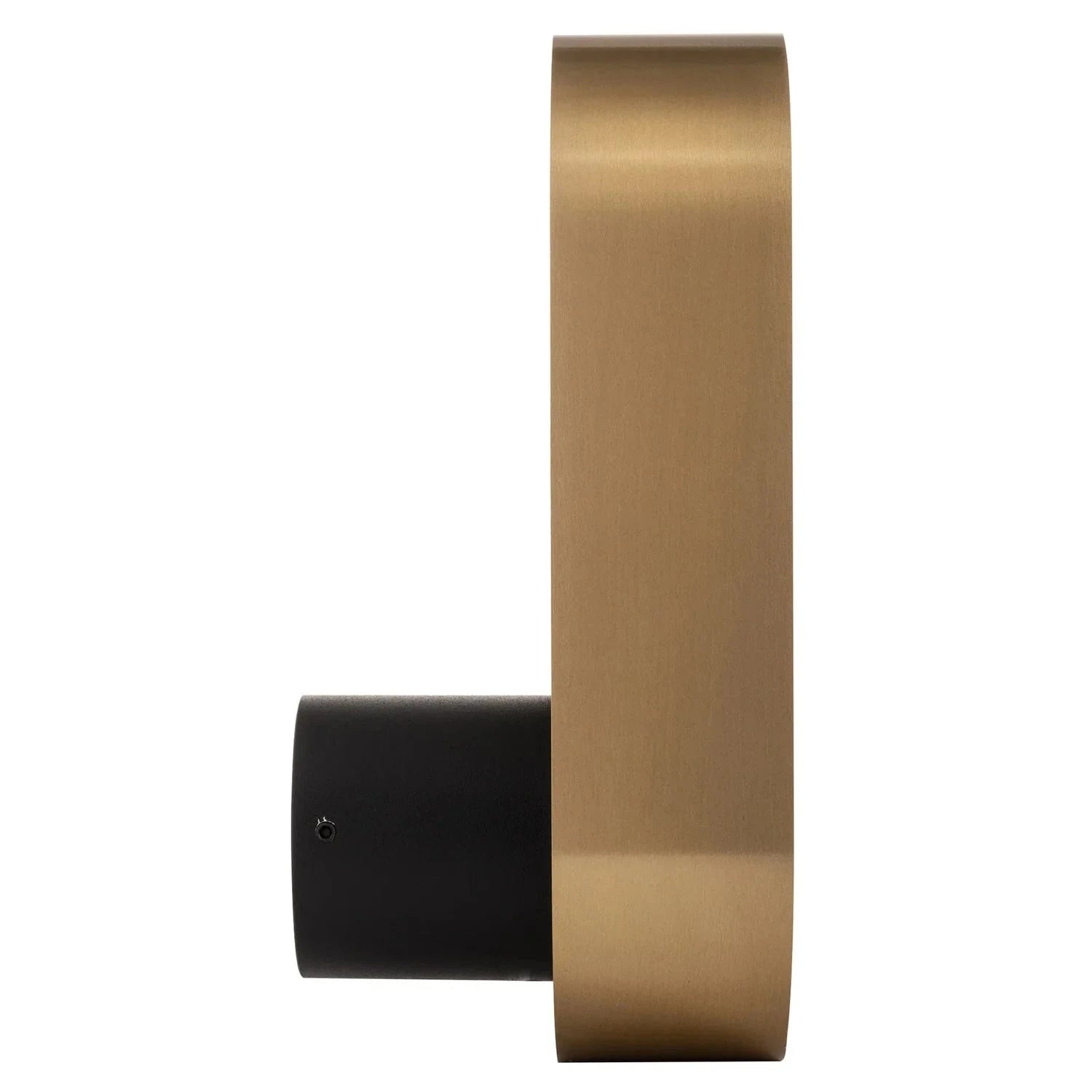 Havit Lighting Lighting Ovale Indoor LED Wall Light in Black, Black/Brass, White, White/Brass Havit Lighting - HV8080T Lights-For-You