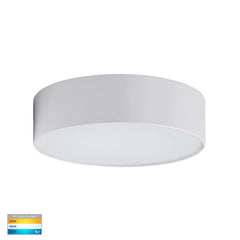 Havit Lighting Oyster Lights Nella LED Oyster Light Small or Large Lights-For-You HV5892T-WHT 9350418012562