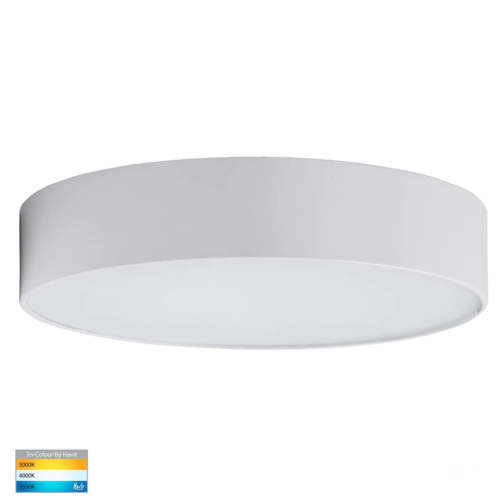 Havit Lighting Oyster Lights Nella LED Oyster Light Small or Large Lights-For-You HV5893T-WHT 9350418012586