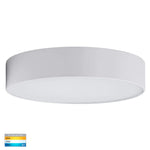 Havit Lighting Oyster Lights Nella LED Oyster Light Small or Large Lights-For-You HV5893T-WHT 9350418012586