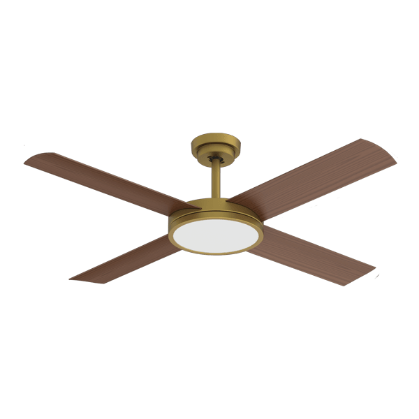 Hunter Pacific Ceiling Fans Antique Brass / Yes Revolution 3 52" Ceiling Fan with beautiful design by Hunter Pacific FNC237ABL2