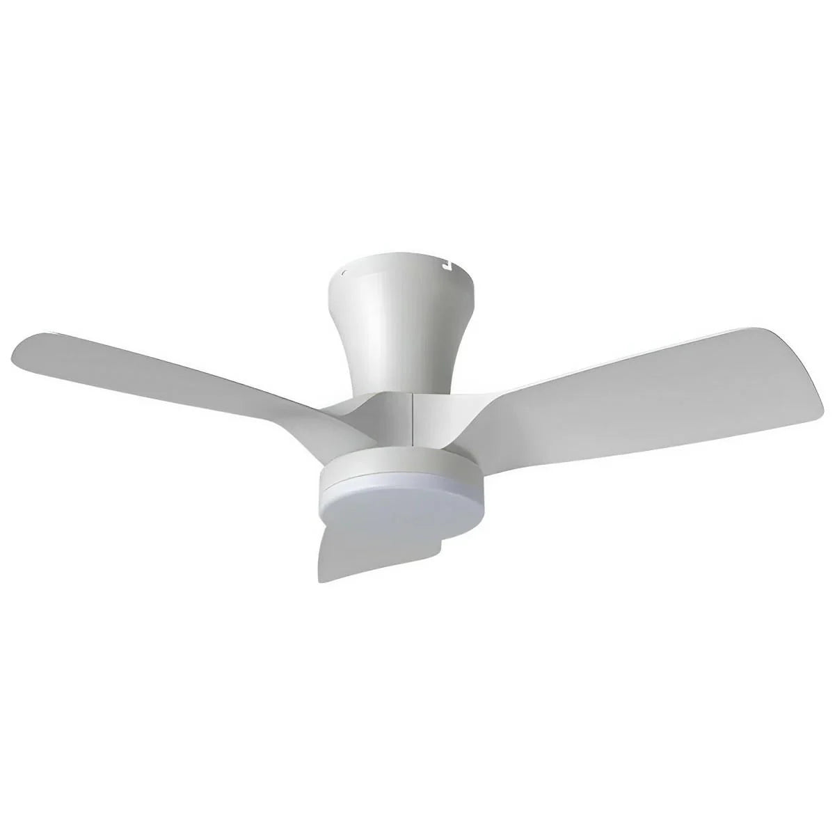 32' Kiwi DC Ceiling Fan White, Black With Light 5507062, 5507063 Vencha Lighting