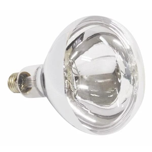 Mercator Lighting Heat Lamps Replacement Heat lamp For Lava/Cosmo Lights-For-You LR275E7GDR 9312699108662