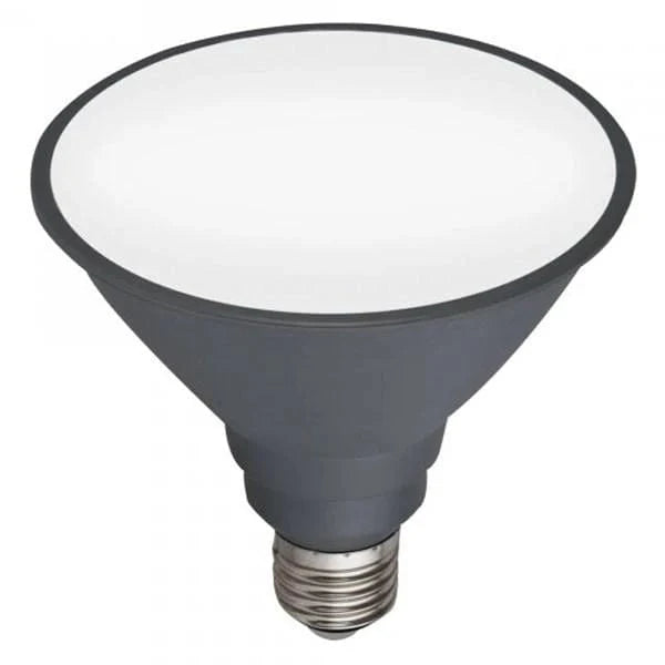 Mercator Lighting Lighting 12w LED E27 Par38 Globe Lights-For-You 9E27LEDP38DL
