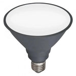 Mercator Lighting Lighting 12w LED E27 Par38 Globe Lights-For-You 9E27LEDP38DL