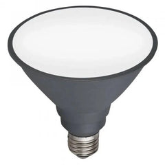 Mercator Lighting Lighting 12w LED E27 Par38 Globe Lights-For-You 9E27LEDP38DL