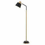 Mercator Lighting Lighting Robin Floor Lamp in Matt Black and Gold Lights-For-You MFL041