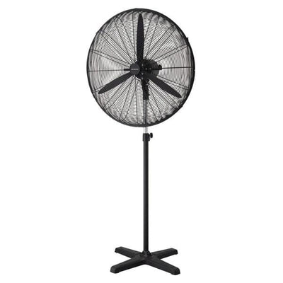 Mercator Lighting Pedestal Fans Broome 750mm Industrial Pedestal Fan Lights-For-You FF101230BK 9312699203909