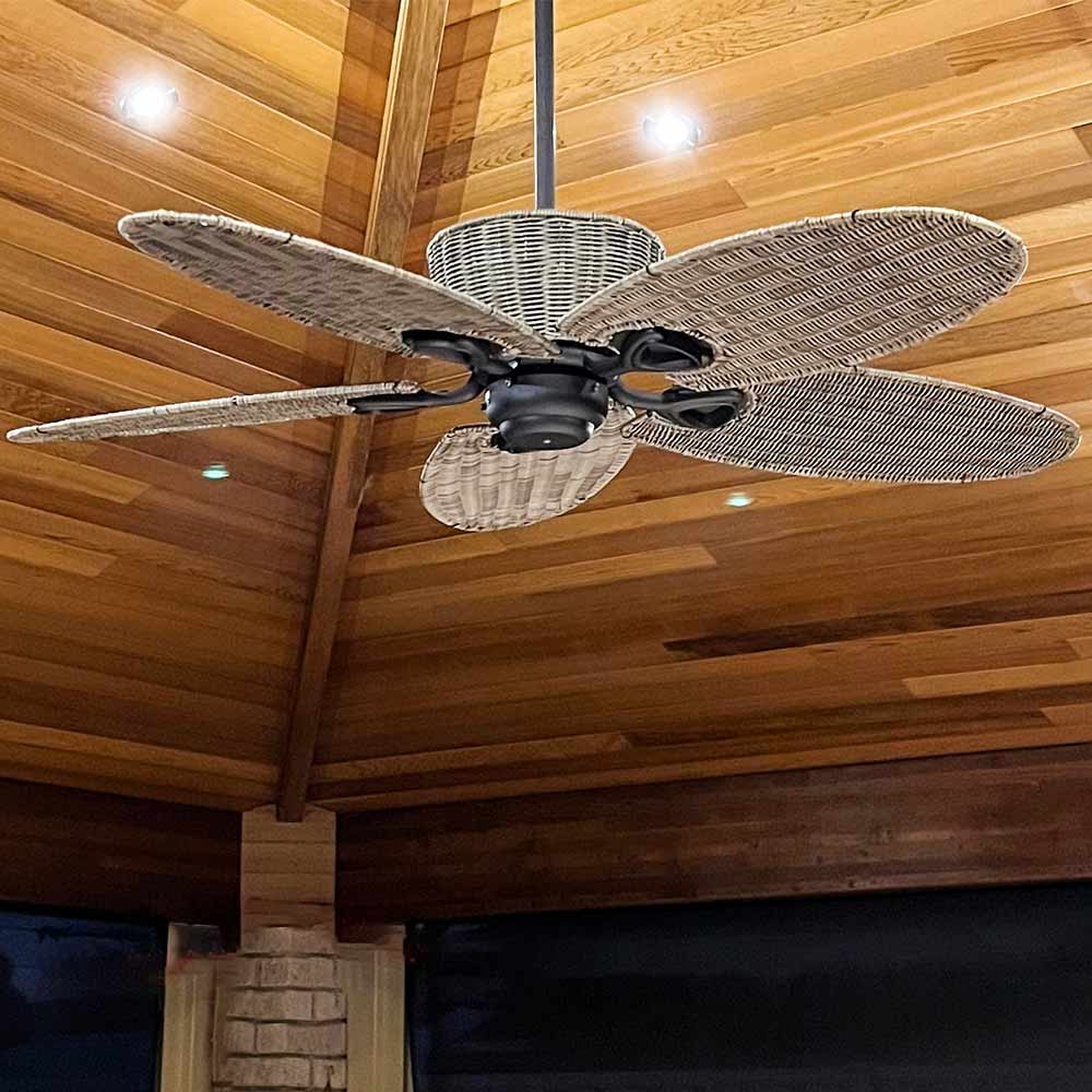 Mertec Lighting Ceiling Fans Old Bronze 52" Wicker AC Ceiling Fan w/ 5 Blade Old Bronze Cane Hamilton MHF135OB Lights-For-You MHF135OB