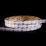 20w IP20 896LED COB RGBC Dotless Strip Light Havit Lighting - HV9761-IP20-896-RGBC