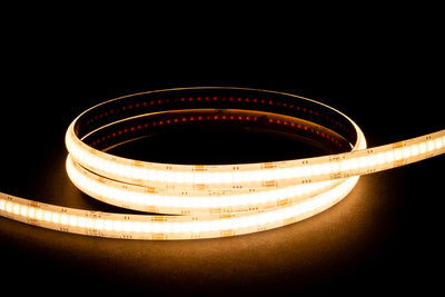 20w IP54 COB RGBC LED Strip