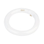 Oriel Lighting Globes 22w Fluorescent T9 Globe Warm White Lights-For-You A-FCL22/830 9324879000369