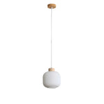 Oriel Lighting Indoor Pendants Oriel Lighting BOLLI Lights-For-You OL63725/20OM