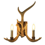 Oriel Lighting Indoor Wall Lights Hyort Twin Wall Light in Natural Resin Lights-For-You OL65273/2 9324879220224