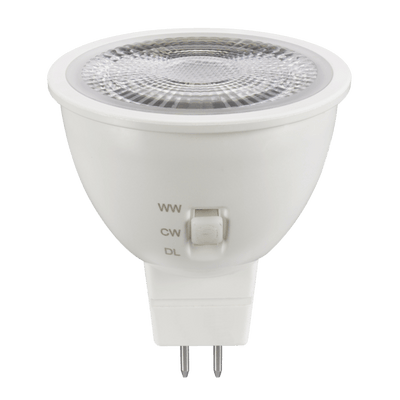 SAL Lighting LED Globes MR16 Globe LED 12v GU5.3 LED 4W/6W Lights-For-You MR16/5W/TC