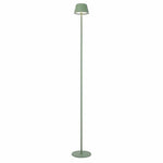 Telbix Lighting Floor Lamps Briana Rechargeable LED Lights-For-You BRIANA FL-GN 9329501066430