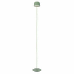 Telbix Lighting Floor Lamps Briana Rechargeable LED Lights-For-You BRIANA FL-GN 9329501066430