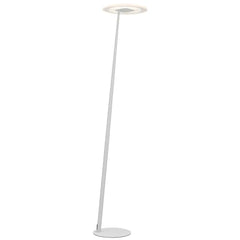 Telbix Lighting Floor Lamps FARO FLOOR LAMP Lights-For-You