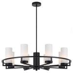 Telbix Lighting Indoor Pendants Eamon Pendant Light 8Lt Lights-For-You EAMON PE8-BKOM 9329501060759