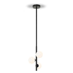 Telbix Lighting Indoor Pendants MORAN 3 LIGHTS PENDANT MORAN PE03 Lights-For-You MORAN PE03-BKOP 93295010602258