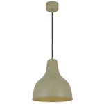 Telbix Lighting Lighting NESBY 30 PENDANT Lights-For-You NESBY PE30-GN