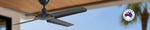 Hunter Pacific Thunder DC Ceiling Fan
