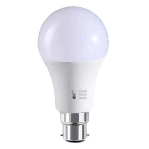 12w LED E27, B22 A60 Globe
